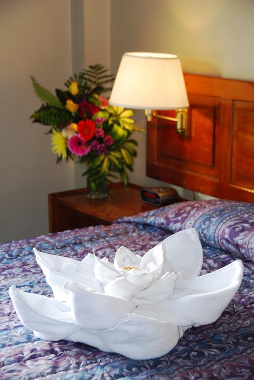Hotel Del Rey Hotel De Ciudad (Adults Only) San Jose  Bilik gambar